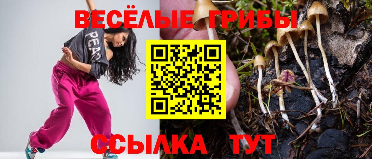 Нижний Тагил  Псилоцибиновые грибы MAGIC MUSHROOMS  Вход с VPN 